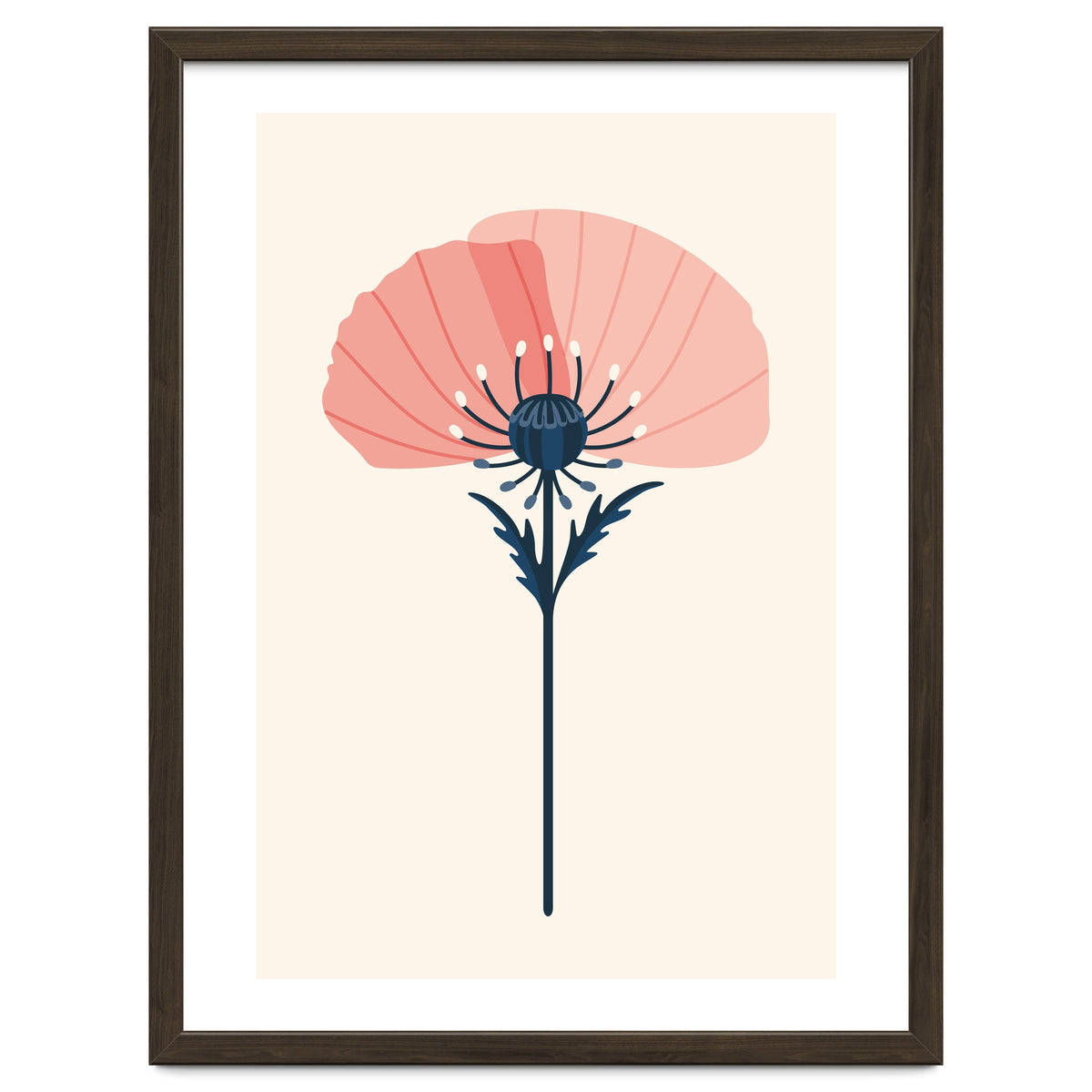 Pink Half Poppy