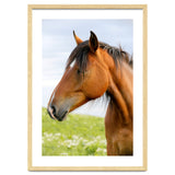 Horse Portrait thumbnail