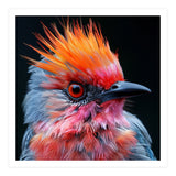 Close Up Of Exotic Bird With Vibrant Plumage (Print Only) thumbnail
