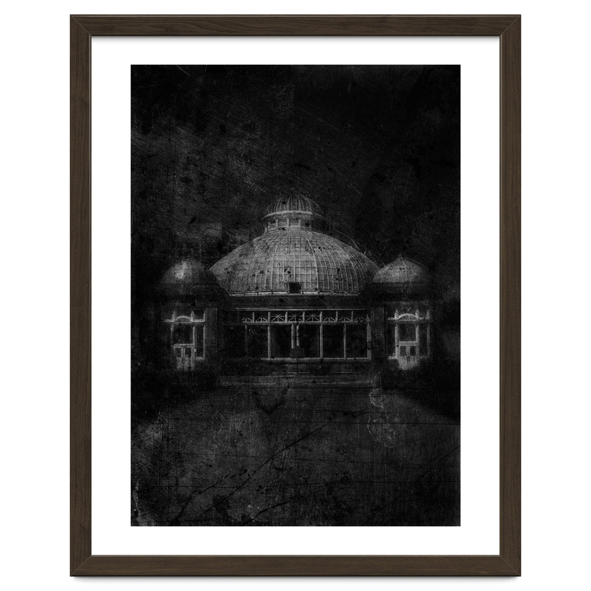 Allan Gardens Conservatory Palm House No 3 Old Film Version