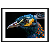 Close Up Of A Peacock Bird Head Eye thumbnail