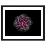 Backyard Flowers No 116 Color Version thumbnail