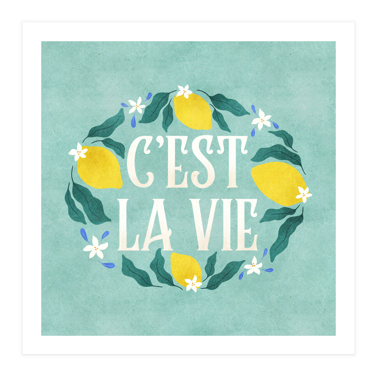 C'est La Vie (Print Only)