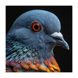 Close Up Of A Pigeon Bird (Print Only) thumbnail