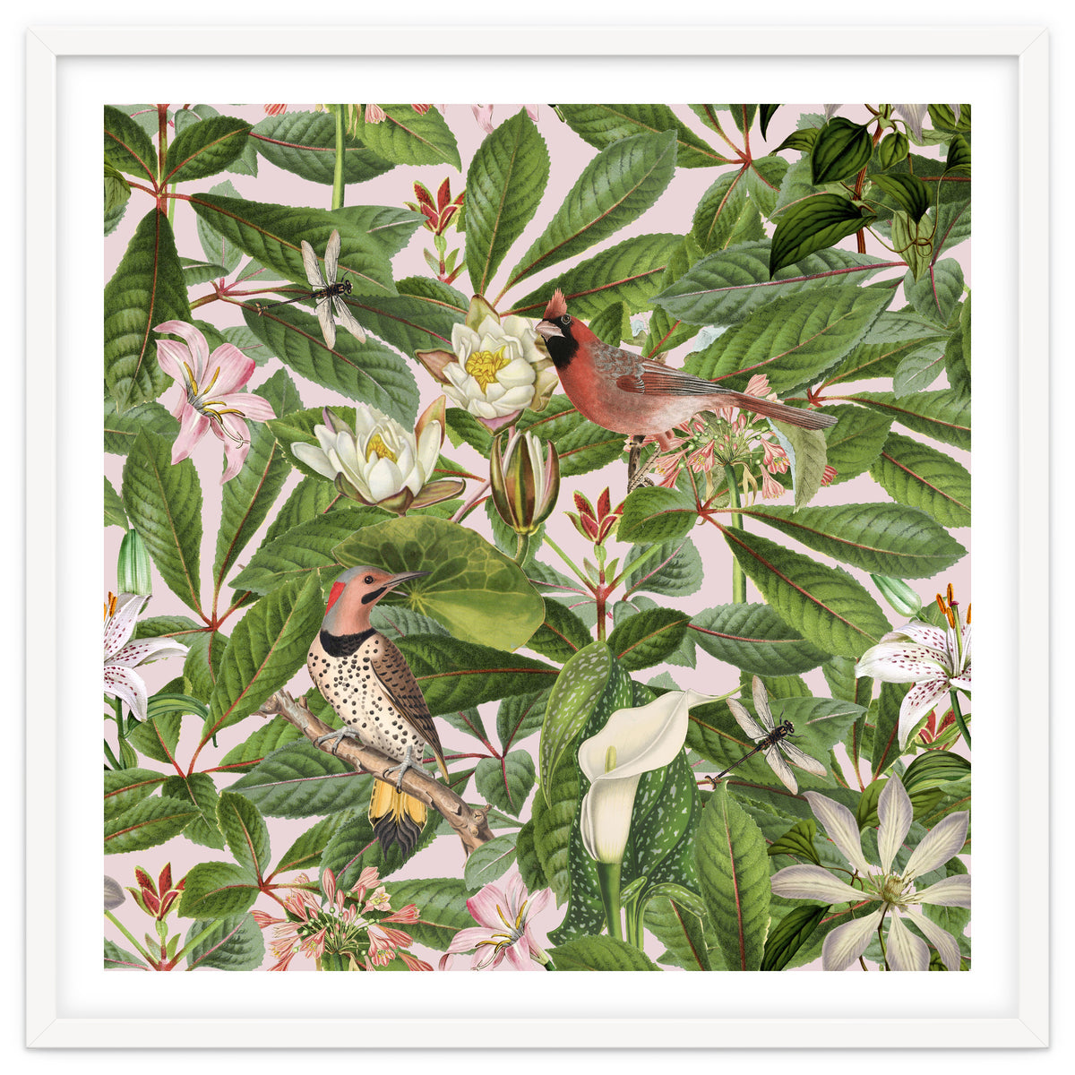 Tropical Bird Garden