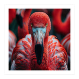 Close Up Flamingo Head With Bright Red Feathers (Print Only) thumbnail