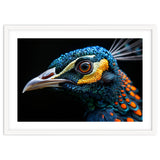 Close Up Of A Peacock Bird Head Eye thumbnail