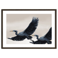 Migrating Herons