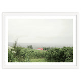 Red Roof house in between the summer green field - Iceland thumbnail