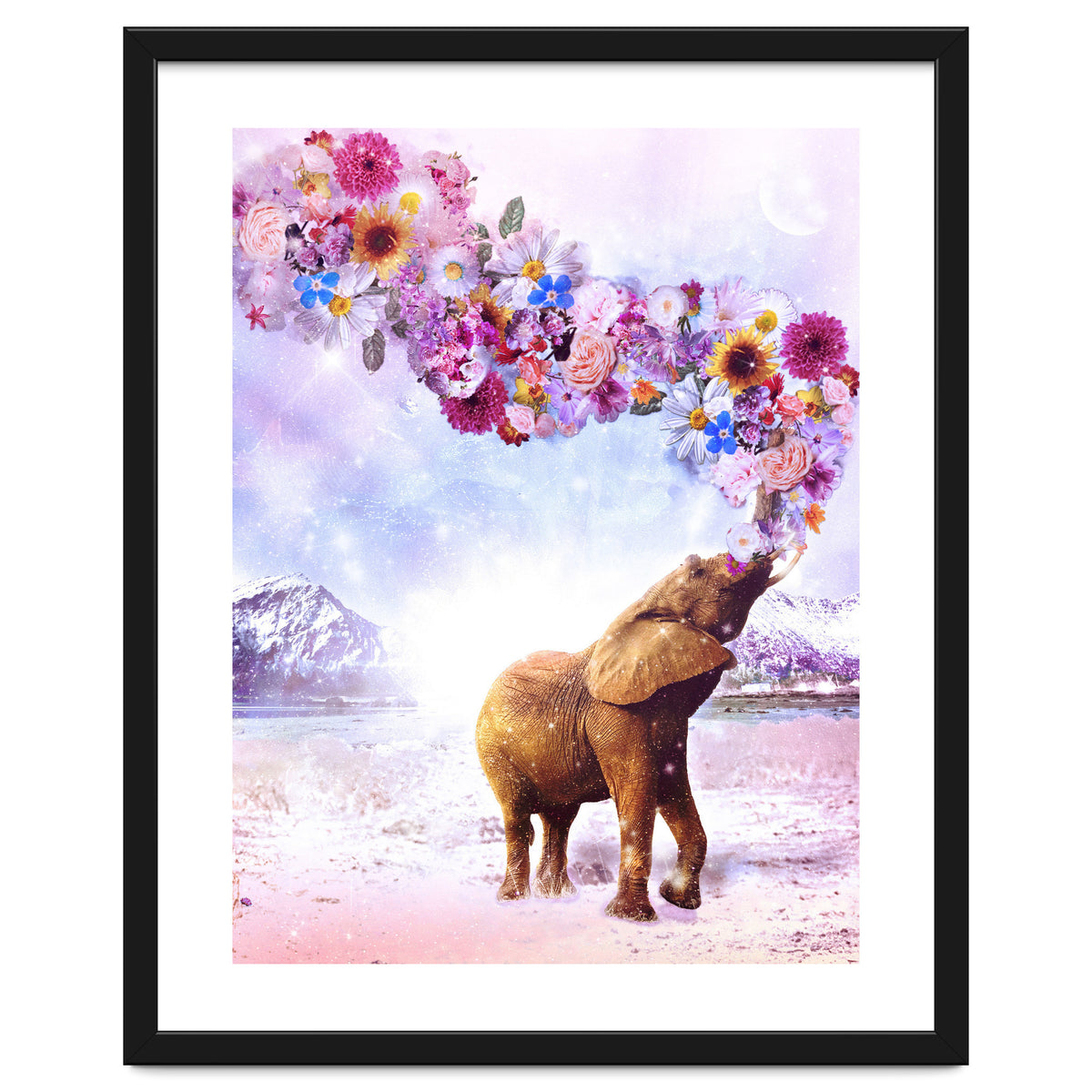 Daria - Supreme Majestic