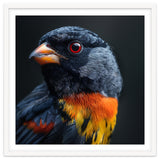Black Bird With Red Eyes And Orange Chest Feathers thumbnail