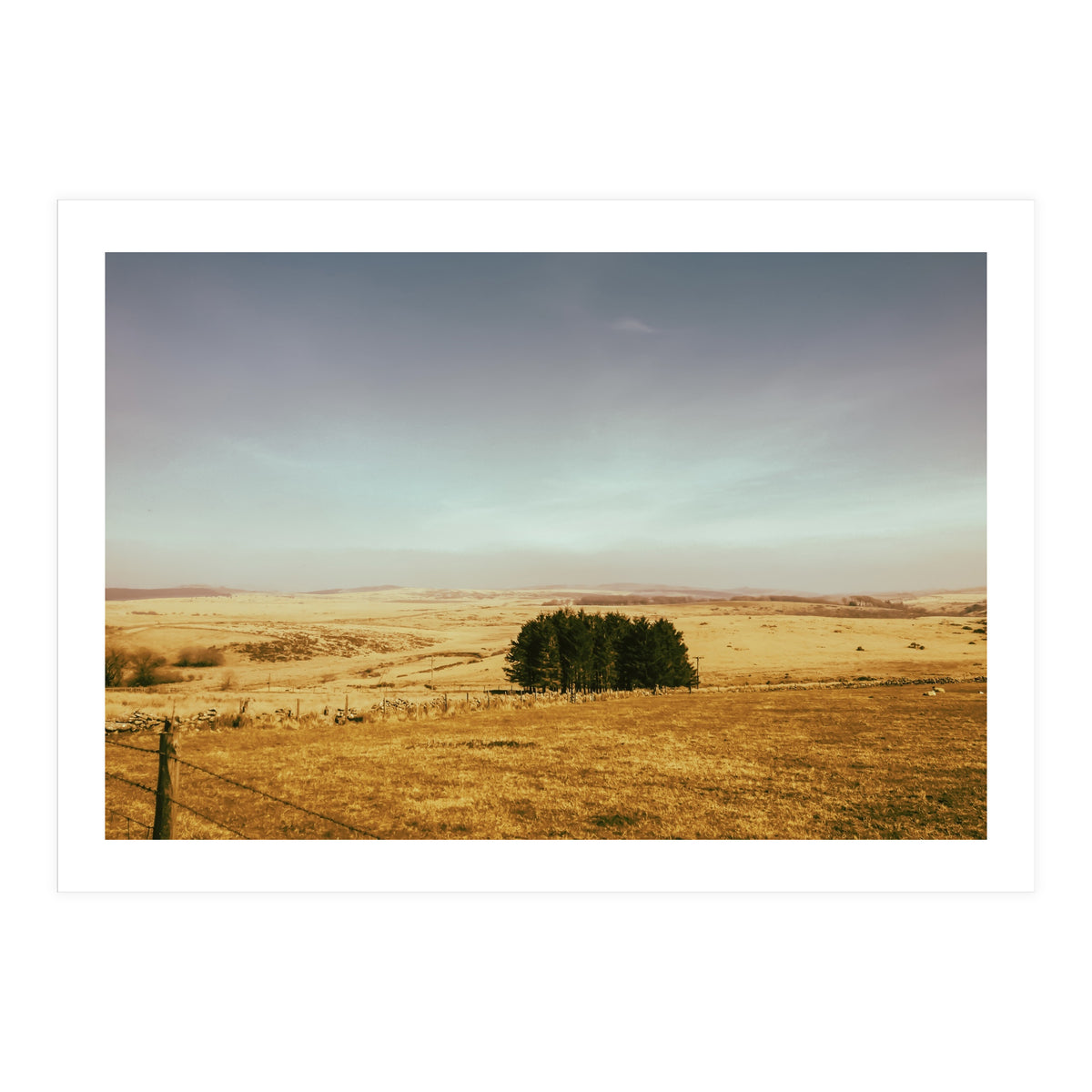 Dartmoor 2018 (Print Only)