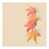 Maple In Pastel (Print Only) thumbnail