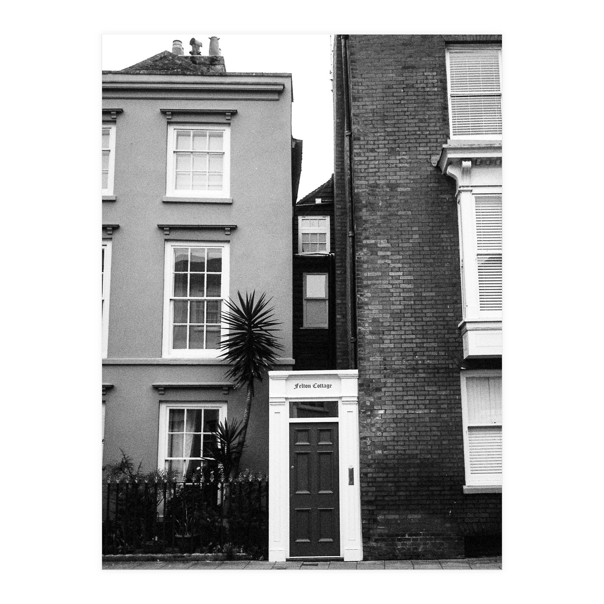 Narrow Living (Print Only)