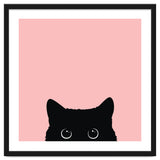 Black cat thumbnail