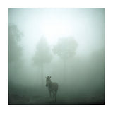 Silence of breath - 01 (Print Only) thumbnail