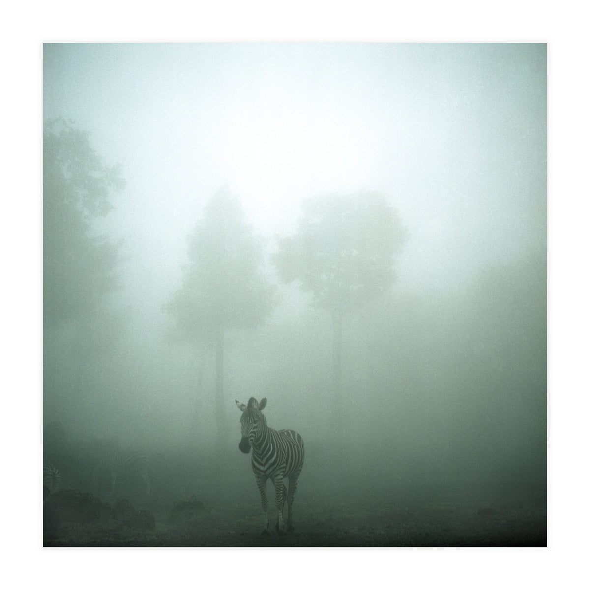 Silence of breath - 01 (Print Only)