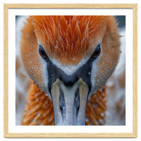 Close Up Of A Pelican's Beak With Water Droplets