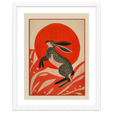 Hare And The Red Sun thumbnail