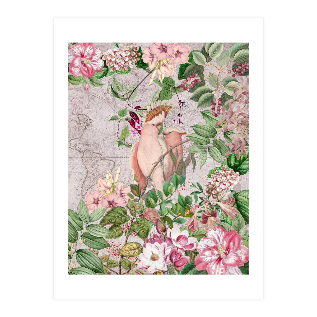 Parrot Exotic Jungle  (Print Only)