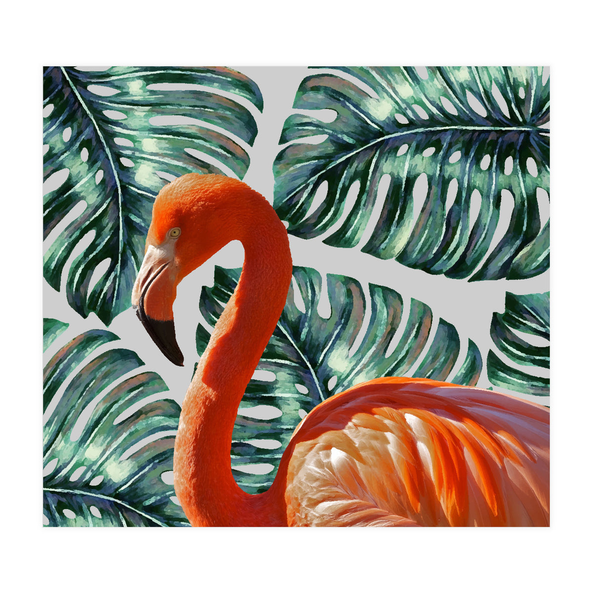 Flamingo Self Portrait (Print Only)
