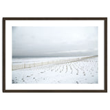 Winter grass in snow beach thumbnail