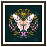 Butterfly And Sun thumbnail