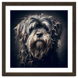 Old Dog 03 thumbnail
