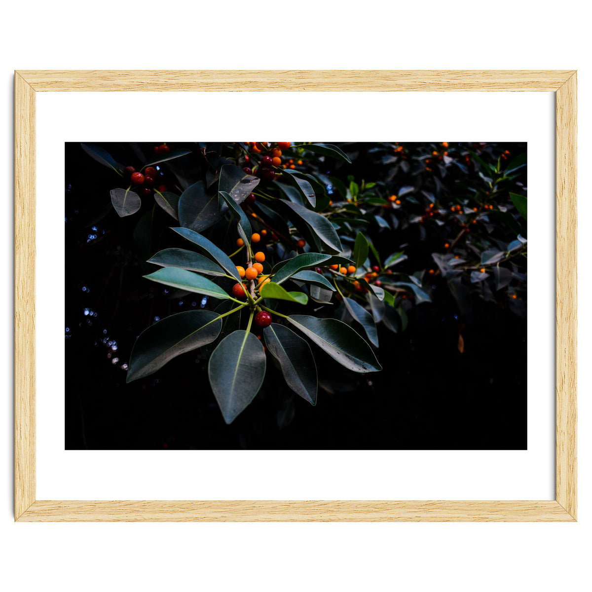 Orange, Green and Dark