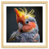 Cute Cockatoo Bird Portrait Colorful Crest thumbnail