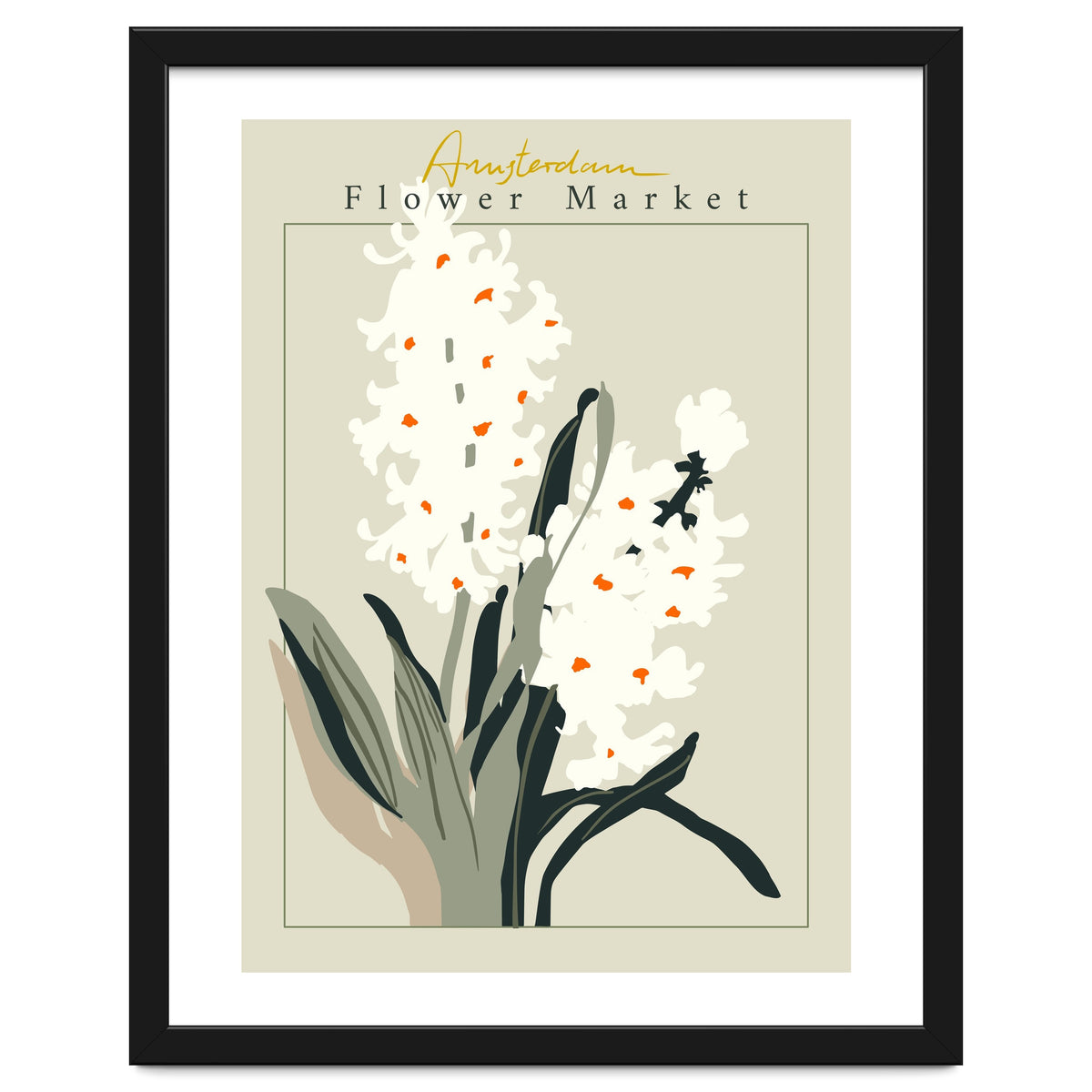 Flower Market Amsterdam Hyacinth