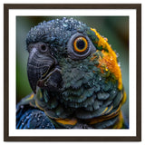 Close Up Of A Wet Macaw Parrot Head thumbnail