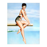 Smiling Sexy Pinup Girl Posing On A Board (Print Only) thumbnail