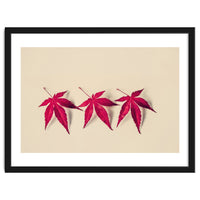 Dancing Leaves