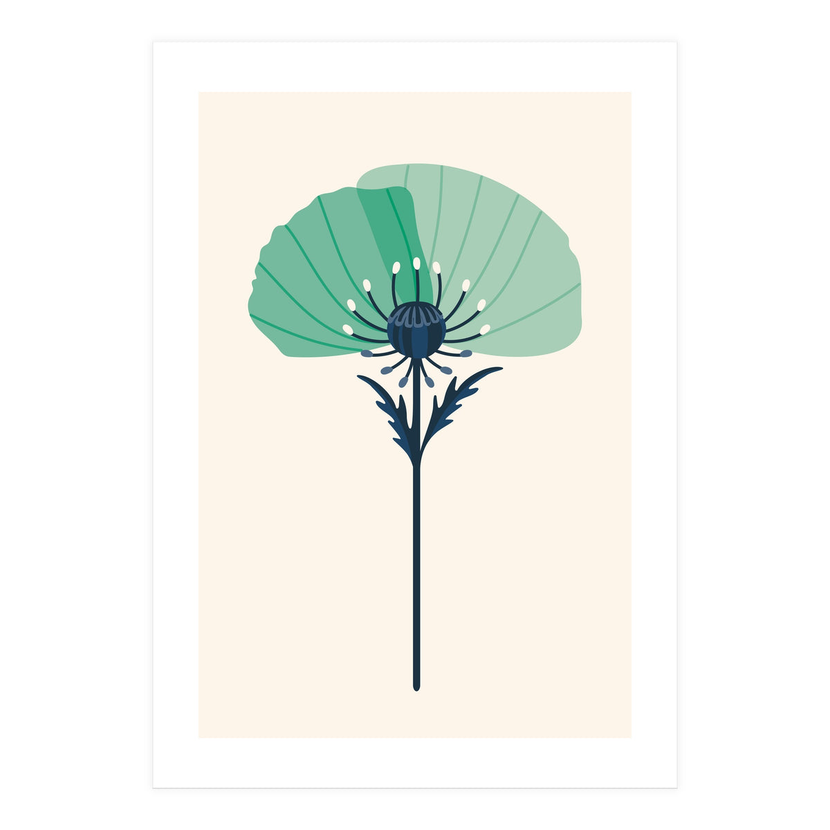 Teal Half Poppy (Print Only)