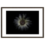 Backyard Flowers No 27 Color Version thumbnail
