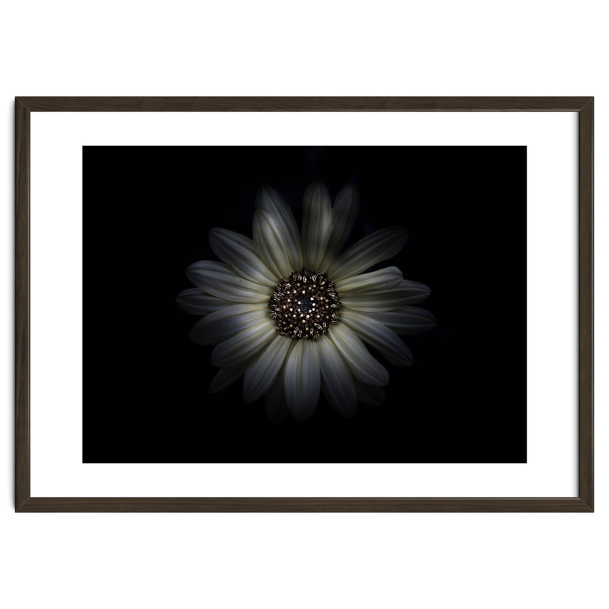 Backyard Flowers No 27 Color Version