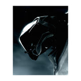 Halo (Print Only) thumbnail