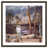 Palm Springs Pink II thumbnail