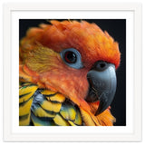 Close Up Of A Sun Conure Parrot's Head thumbnail