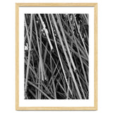Black Tectorius Plant Shoots Art thumbnail