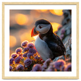 Puffin Bird Amidst Purple Flowers Golden Hour thumbnail