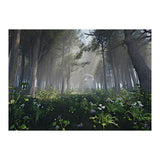 Art In The Forest (Print Only) thumbnail