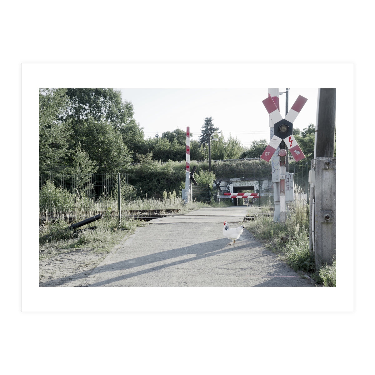 A chicken crossing a railroad (Print Only)