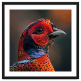 Close Up Pheasant Bird thumbnail