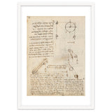 Folio f 172v. Codex Madrid I (Ms. 8937) 