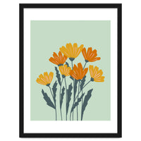 Orange and Yellow Flowers
