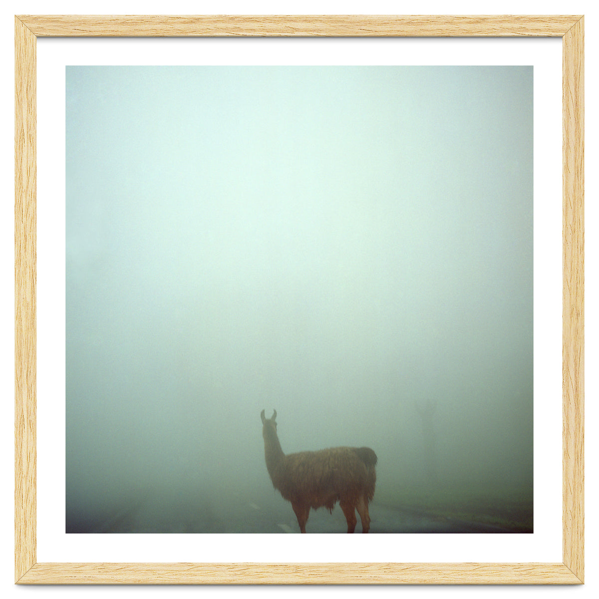 Silence of breath - 04