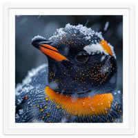 Close Up Penguin In Snow With Water Droplets