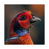 Close Up Pheasant Bird  (Print Only) thumbnail